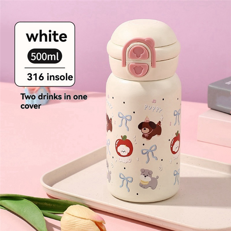 Insulated Water Bottle